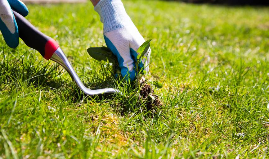 Lawn & Order Landscapes